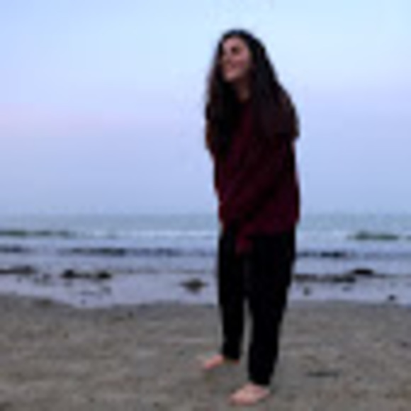 Meet your Posher, Archie - Picture 1 of 1